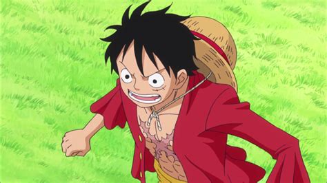 one piece animation porn